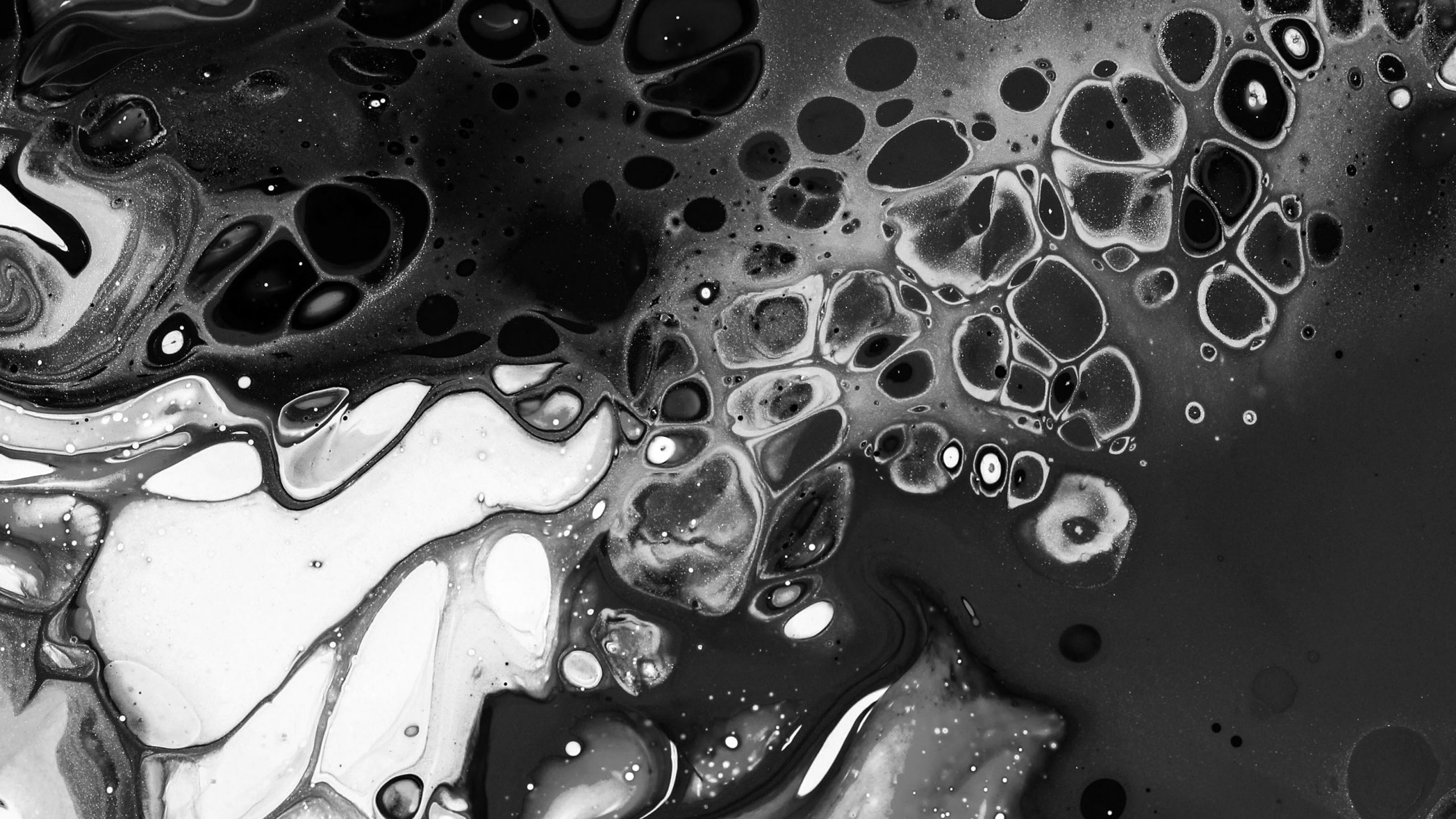 CASE DESIGN SYSTEMS 00102 CASE DESIGN SYSTEMS 00102