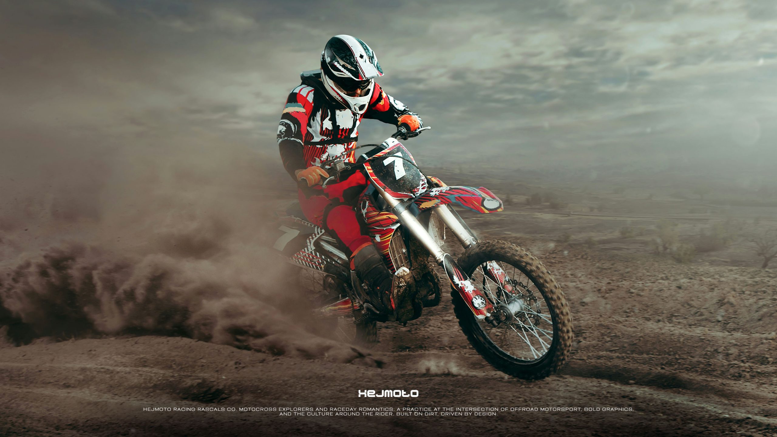 CASE HEJ 0132 CASE HEJ 0132